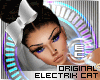  Ec. Head Bow v3 DRV