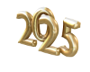 2025 New Year V2