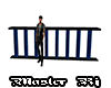 Black Blue Railing