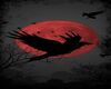 background-crow