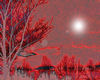Red Forest - Wall Art