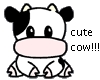 CUTE COW!!!