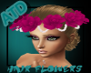 ATD*Pink Hair roses