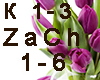 8 marta Zachem