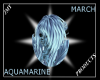 AquamarineHair(F)