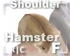 R|C Hamster Cozy F