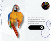 AT x Parrot 01