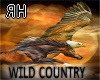 Wild Country/RH