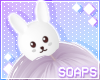 +Cute Bunny White