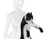 Hug cat black white