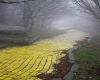 Eerie Yellow Brick Road 