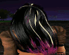hair black purple