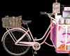 Kawaii Coffee Bike