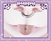 Kibear Tongue 4