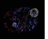 animated fireworks