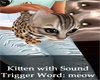 Kitten w/sound - Meow