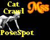 (MSS) Cat Crawl spot