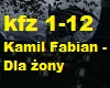 Kamil Fabian - Dla zony