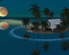 C* night blue island