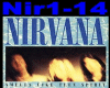 Nirvana Smells Like Teen