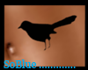 *SB* Bird Tattoo