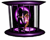 Purple Passion Cage