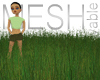 Grass Patch Tall MESH