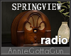 Springview Vintage Radio
