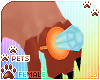 [Pets]Cinda | ringpop v3