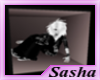 ~S~ Sasha Poster 2