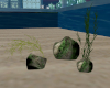 (S)Plants and rocks ani