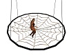 SPIDER WEB