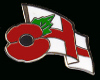 fem) england poppy badge