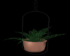 plant with rose gold pot