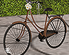 Spring / Bicycle Poses