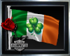 ~Irish Flag~