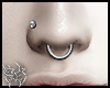 5C PIERCING SET