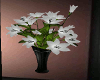 ! White Lilies.