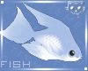 Fish Blue 1a Ⓚ