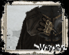 Altair Master Cape