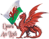 ~DD~ Cymru Am Byth