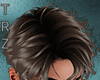 TRZ- Eric Brown Hair