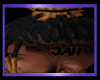 JAH's SPECIAL