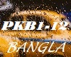 SR- PremKiBujni/ PKB1-12