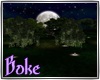 ♔•Boke MoonForest