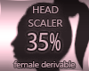 Head Resizer 35%