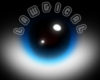 *L* Cuvier Eyes