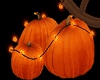 Fall Harvest A