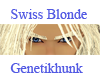 Swiss Blonde Eyebrows