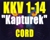 /Kapturek-CORD/